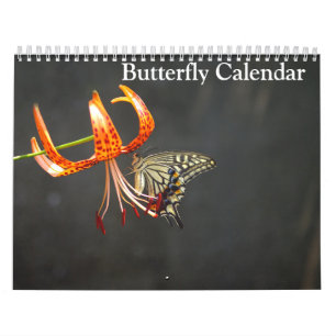 Calendrier Papillons 2025