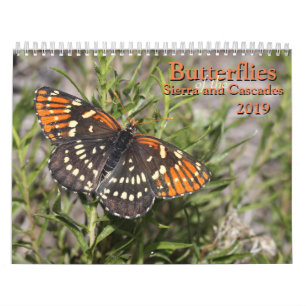 Calendrier Papillons de la sierra et des cascades