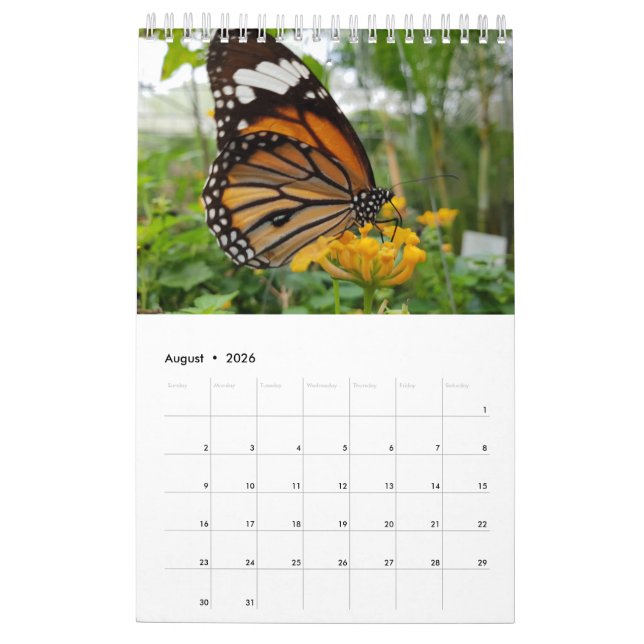 Calendrier Papillons de la Thaïlande (Aug 2026)