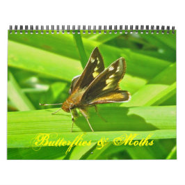 Calendrier - Papillons et papillons