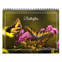 Calendrier papillons sur 12 mois