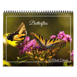 Calendrier papillons sur 12 mois