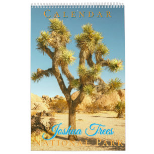 Calendrier Parc national Joshua Trees Paysages Paysages