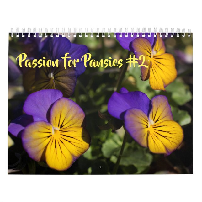 Calendrier ~ Passion pour Pansies #2 (Protection)