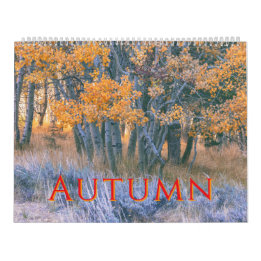 Calendrier Paysages d'automne