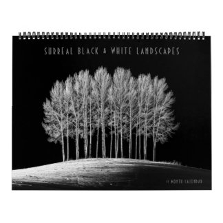 Calendrier Paysages surréalistes en noir et blanc