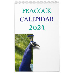 Calendrier Peacock coloré 2025