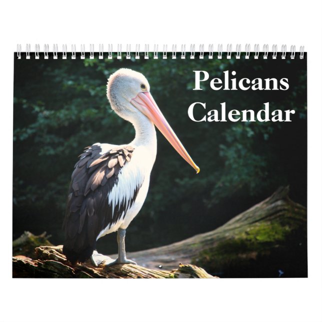 Calendrier Pelicans Bird 2020 (Protection)