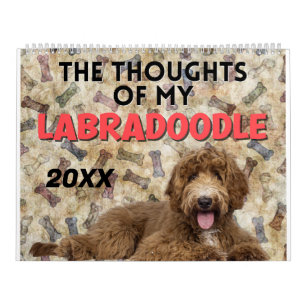 Calendrier Pensées hilarantes de Mon Labradoodle