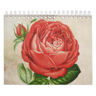 Calendrier Perpétuel hybride rouge vintage, Paul Neyron s'est