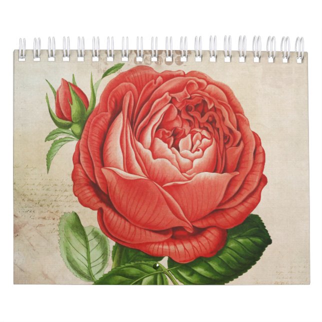 Calendrier Perpétuel hybride rouge vintage, Paul Neyron s'est (Protection)