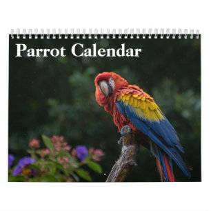 Calendrier perroquet 2027