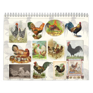 Calendrier personnalisé de poulet vintage