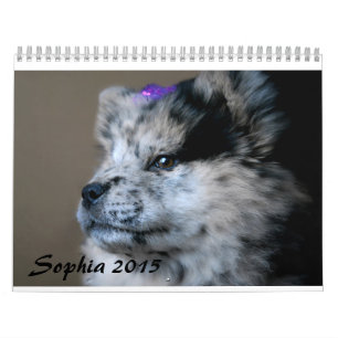 Calendrier personnalisé Sophia 2015
