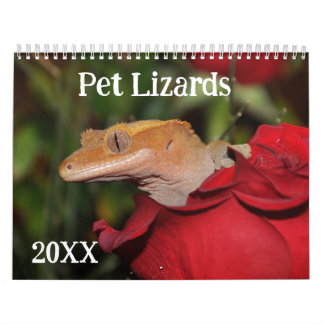 Calendrier Pet Lizards