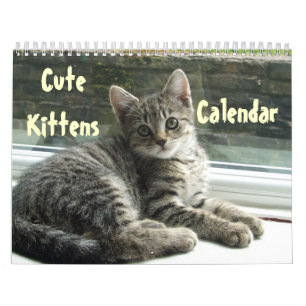 Calendrier Petit Kitten Chat La paix et l'amour