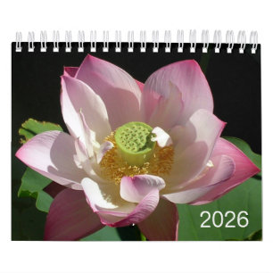 Calendrier Petites Fleurs 2026