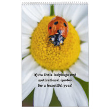Petits coccinelles et citations de motivation