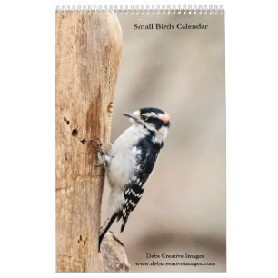 Calendrier Petits oiseaux 2026