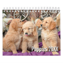 Calendrier Photo 2021 Puppy Dog Pet