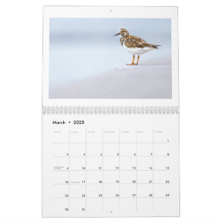 Calendrier photo 2025 de la faune