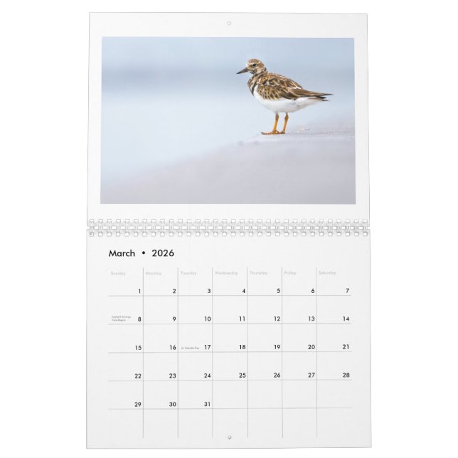 Calendrier photo 2025 de la faune (Mar 2026)