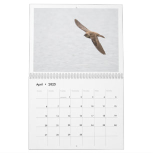 Calendrier photo 2025 de la faune