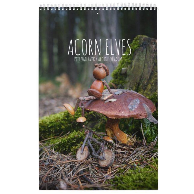 Calendrier photo Acorn Elves / Dubanci (Protection)