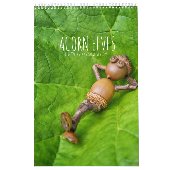 Calendrier photo Acorn Elves / Dubanci (Protection)