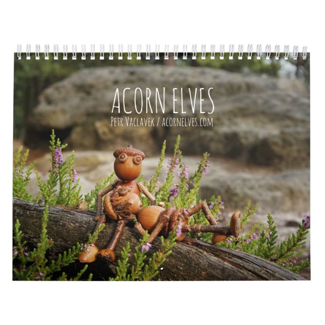 Calendrier photo Acorn Elves / Dubanci (Protection)