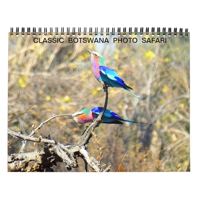 CALENDRIER PHOTO CLASSIQUE BOTSWANA SAFARI (Protection)