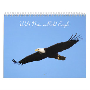 Calendrier Photo d'aigle sauvage à tête blanche
