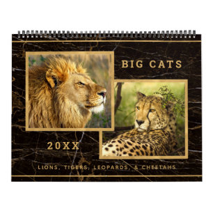 Calendrier photo de Big Cats