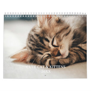 Calendrier Photo de chaton et chat mignon
