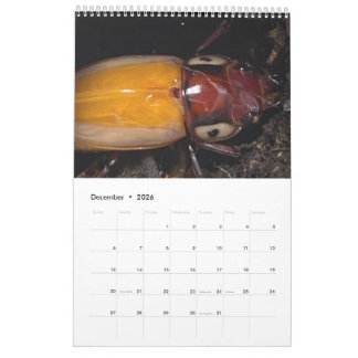 Calendrier Photo de l'artiste