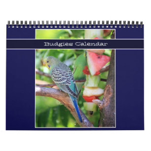 Calendrier Photo de Perroquet de boudin de poitrine 2026 Oise