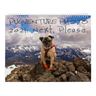 Calendrier photo de Pugventure 2021 : Ensuite, S'I