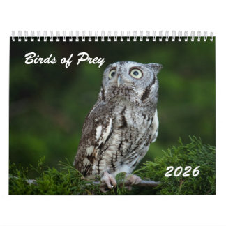 Calendrier photo de rapaces incroyables 2026