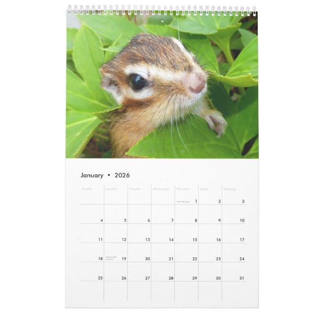 Calendrier Photo de tamia (4) (Jan 2026)