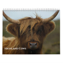 Photo de vache Highland adorée 2027
