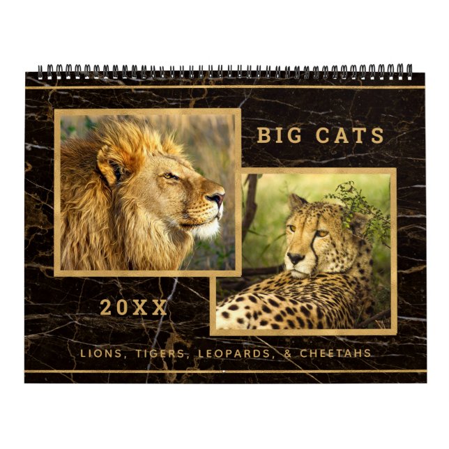 Calendrier photo des magnifiques Big Cats (Protection)