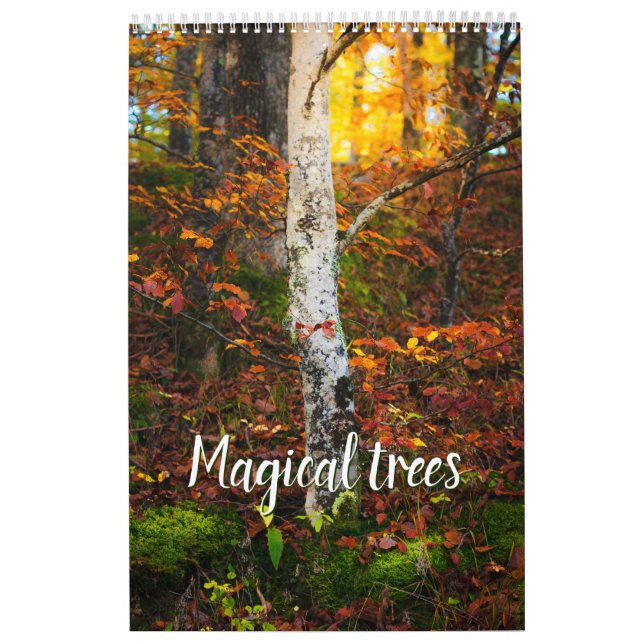 Calendrier photo paysage arbres magiques (Protection)