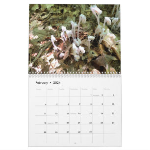 Calendrier photo personnalisable sur deux pages mo