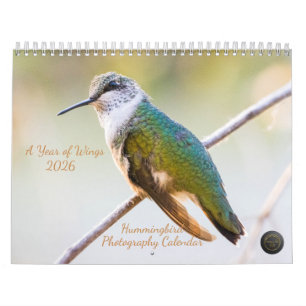 Calendrier Photographie de colibris 2026 : Une année d'ailes