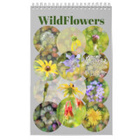 Photographie de Fleurs sauvages