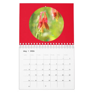 Calendrier Photographie de fleurs sauvages en forêt en gros p