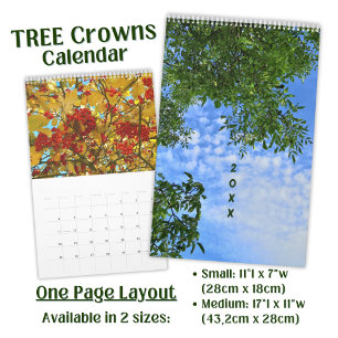 Calendrier Photographie de la couronne d'arbre botanique
