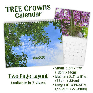 Calendrier Photographie de la couronne d'arbre botanique