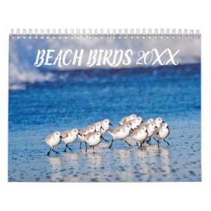 Calendrier Photographie des oiseaux de plage