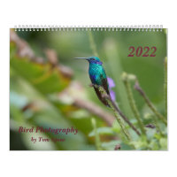 Photographie d'oiseau par Tom Spine, 2022